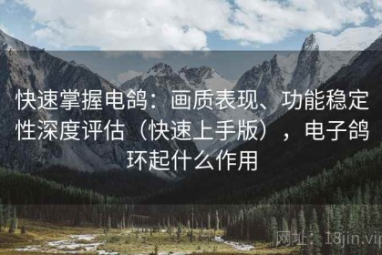 快速掌握电鸽：画质表现、功能稳定性深度评估（快速上手版），电子鸽环起什么作用