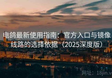 电鸽最新使用指南：官方入口与镜像线路的选择依据（2025深度版）