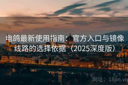 电鸽最新使用指南：官方入口与镜像线路的选择依据（2025深度版）