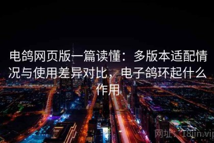 电鸽网页版一篇读懂：多版本适配情况与使用差异对比，电子鸽环起什么作用