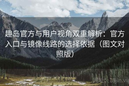 趣岛官方与用户视角双重解析：官方入口与镜像线路的选择依据（图文对照版）