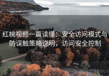 红桃视频一篇读懂：安全访问模式与防误触策略说明，访问安全控制