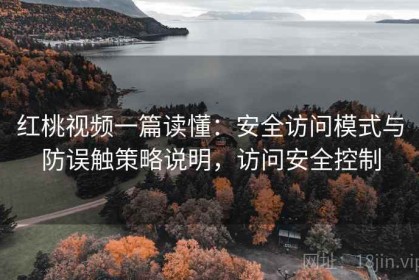 红桃视频一篇读懂：安全访问模式与防误触策略说明，访问安全控制