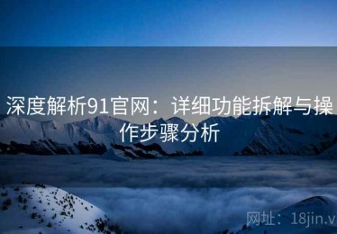 深度解析91官网：详细功能拆解与操作步骤分析