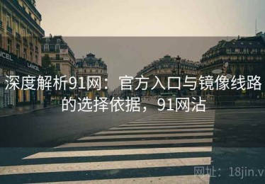 深度解析91网：官方入口与镜像线路的选择依据，91网沾