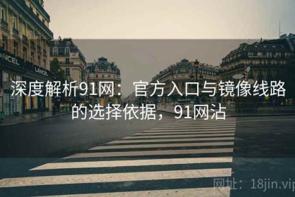 深度解析91网：官方入口与镜像线路的选择依据，91网沾
