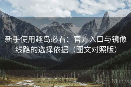 新手使用趣岛必看：官方入口与镜像线路的选择依据（图文对照版）