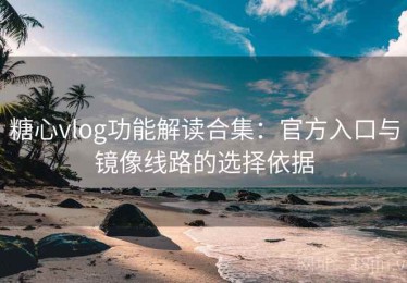 糖心vlog功能解读合集：官方入口与镜像线路的选择依据