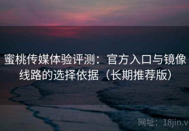 蜜桃传媒体验评测：官方入口与镜像线路的选择依据（长期推荐版）