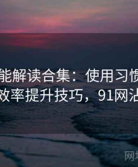 91网功能解读合集：使用习惯优化与效率提升技巧，91网沾