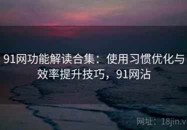91网功能解读合集：使用习惯优化与效率提升技巧，91网沾