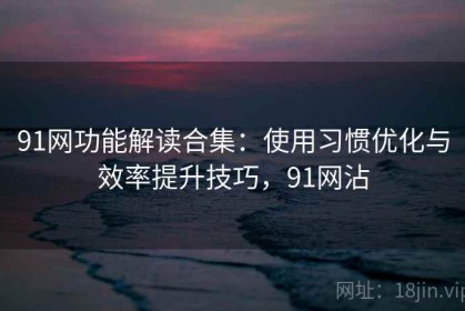 91网功能解读合集：使用习惯优化与效率提升技巧，91网沾