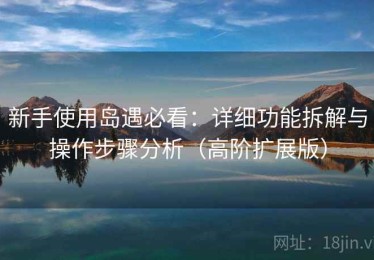 新手使用岛遇必看：详细功能拆解与操作步骤分析（高阶扩展版）