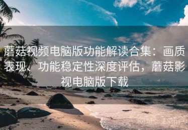 蘑菇视频电脑版功能解读合集：画质表现、功能稳定性深度评估，蘑菇影视电脑版下载