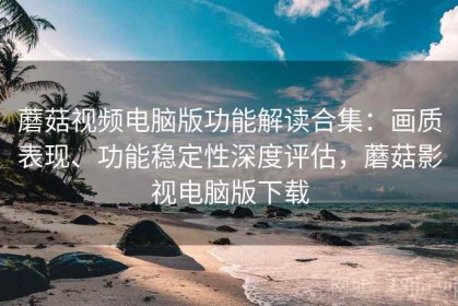 蘑菇视频电脑版功能解读合集：画质表现、功能稳定性深度评估，蘑菇影视电脑版下载