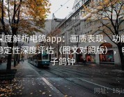 深度解析电鸽app：画质表现、功能稳定性深度评估（图文对照版），电子鸽钟