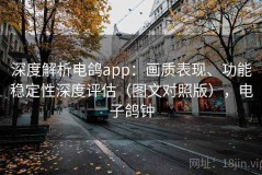 深度解析电鸽app：画质表现、功能稳定性深度评估（图文对照版），电子鸽钟