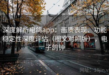 深度解析电鸽app：画质表现、功能稳定性深度评估（图文对照版），电子鸽钟