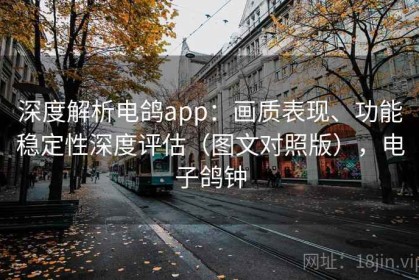 深度解析电鸽app：画质表现、功能稳定性深度评估（图文对照版），电子鸽钟