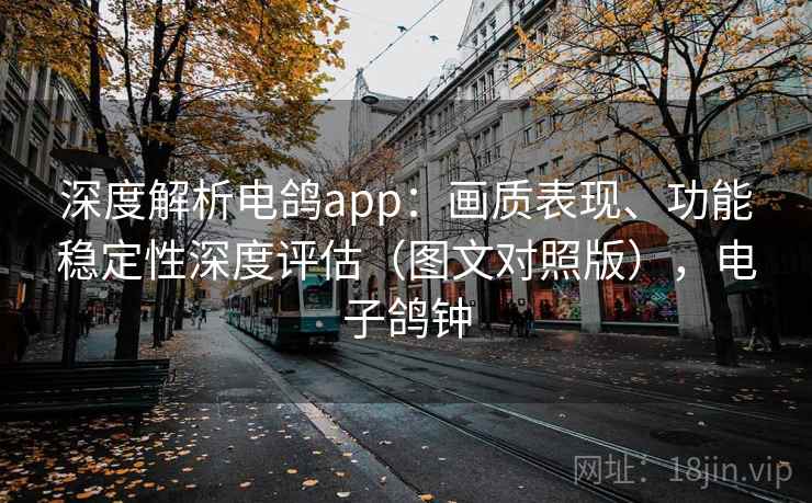深度解析电鸽app:画质表现、功能稳定性深度评估(图文对照版),电子鸽钟 深度解析电鸽app:画质表现、功能稳定性深度评估(图文对照版),电子鸽钟