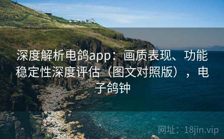 深度解析电鸽app:画质表现、功能稳定性深度评估(图文对照版),电子鸽钟 深度解析电鸽app:画质表现、功能稳定性深度评估(图文对照版),电子鸽钟