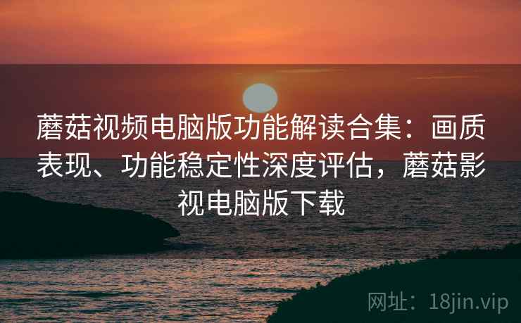 蘑菇视频电脑版功能解读合集：画质表现、功能稳定性深度评估，蘑菇影视电脑版下载