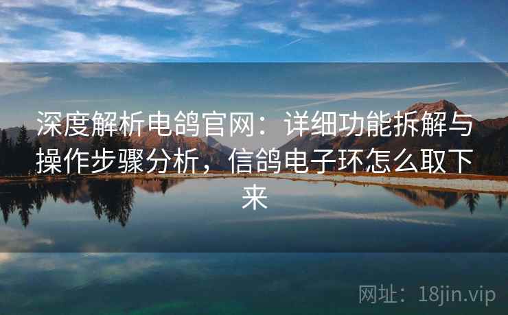深度解析电鸽官网：详细功能拆解与操作步骤分析，信鸽电子环怎么取下来