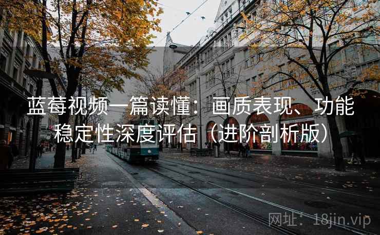蓝莓视频一篇读懂：画质表现、功能稳定性深度评估（进阶剖析版）