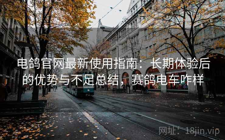 电鸽官网最新使用指南：长期体验后的优势与不足总结，赛鸽电车咋样