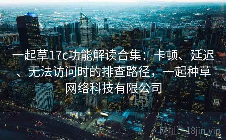 一起草17c功能解读合集：卡顿、延迟、无法访问时的排查路径，一起种草网络科技有限公司