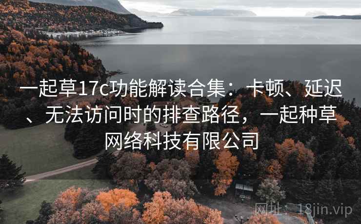 一起草17c功能解读合集：卡顿、延迟、无法访问时的排查路径，一起种草网络科技有限公司