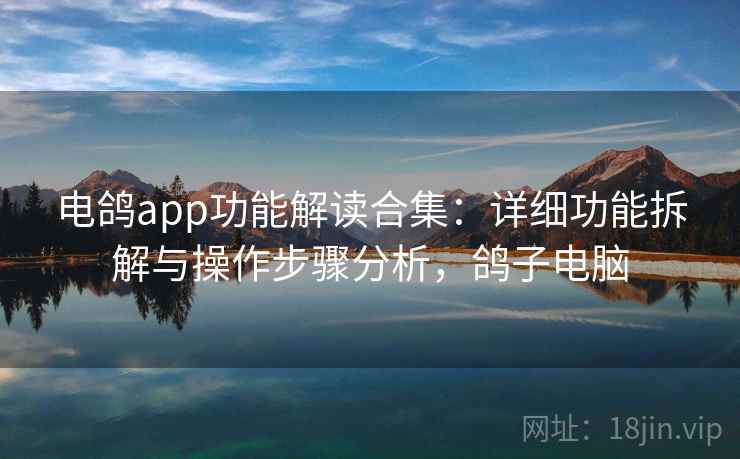 电鸽app功能解读合集：详细功能拆解与操作步骤分析，鸽子电脑