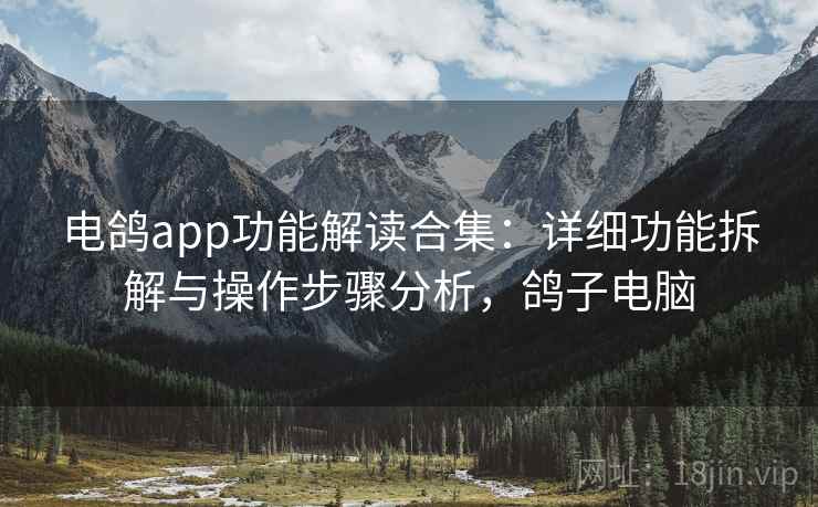 电鸽app功能解读合集：详细功能拆解与操作步骤分析，鸽子电脑