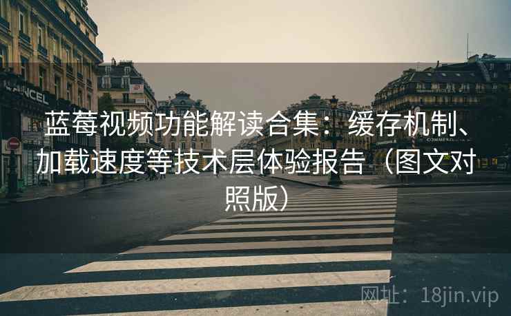 蓝莓视频功能解读合集：缓存机制、加载速度等技术层体验报告（图文对照版）