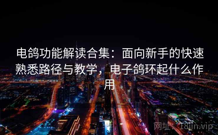电鸽功能解读合集：面向新手的快速熟悉路径与教学，电子鸽环起什么作用