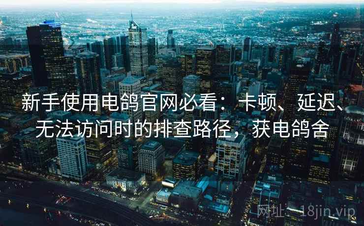新手使用电鸽官网必看：卡顿、延迟、无法访问时的排查路径，获电鸽舍