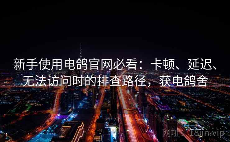 新手使用电鸽官网必看：卡顿、延迟、无法访问时的排查路径，获电鸽舍