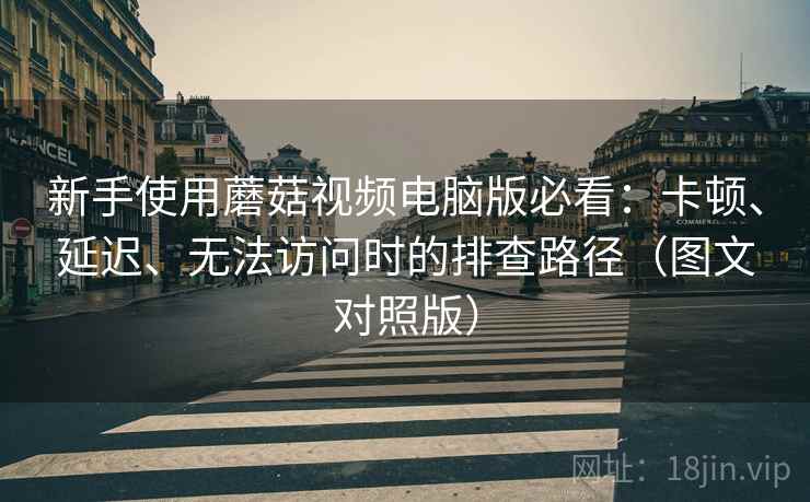 新手使用蘑菇视频电脑版必看：卡顿、延迟、无法访问时的排查路径（图文对照版）