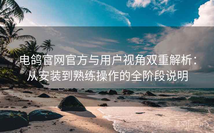 电鸽官网官方与用户视角双重解析：从安装到熟练操作的全阶段说明
