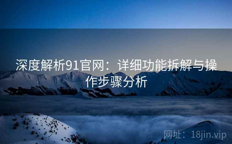 深度解析91官网：详细功能拆解与操作步骤分析