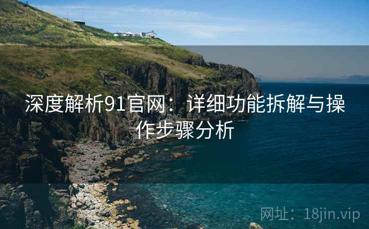 深度解析91官网：详细功能拆解与操作步骤分析