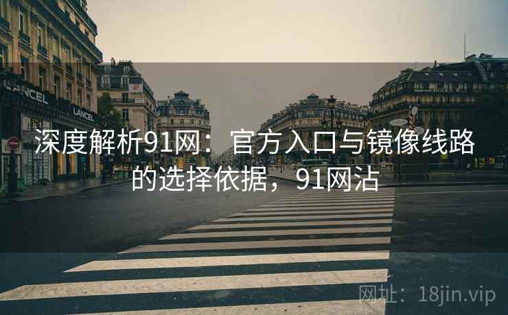 深度解析91网:官方入口与镜像线路的选择依据,91网沾 深度解析91网:官方入口与镜像线路的选择依据,91网沾