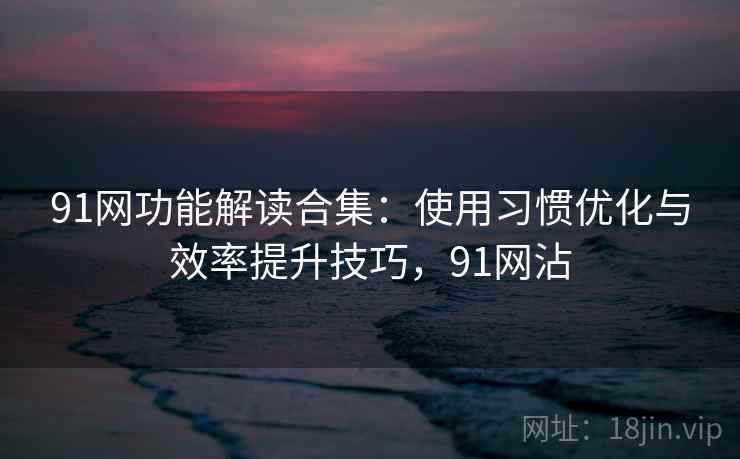 91网功能解读合集:使用习惯优化与效率提升技巧,91网沾 91网功能解读合集:使用习惯优化与效率提升技巧,91网沾