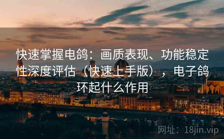 快速掌握电鸽:画质表现、功能稳定性深度评估(快速上手版),电子鸽环起什么作用 快速掌握电鸽:画质表现、功能稳定性深度评估(快速上手版),电子鸽环起什么作用