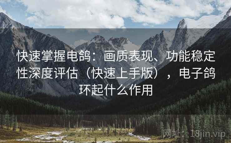 快速掌握电鸽:画质表现、功能稳定性深度评估(快速上手版),电子鸽环起什么作用 快速掌握电鸽:画质表现、功能稳定性深度评估(快速上手版),电子鸽环起什么作用